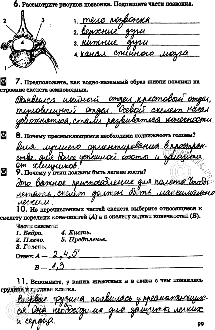 Изображение 6. Рассмотрите рисунок позвонка. Подпишите части позвонка.7. Предположите, как водно-наземный образ жизни повлиял на строение скелета земноводных.8. Почему...
