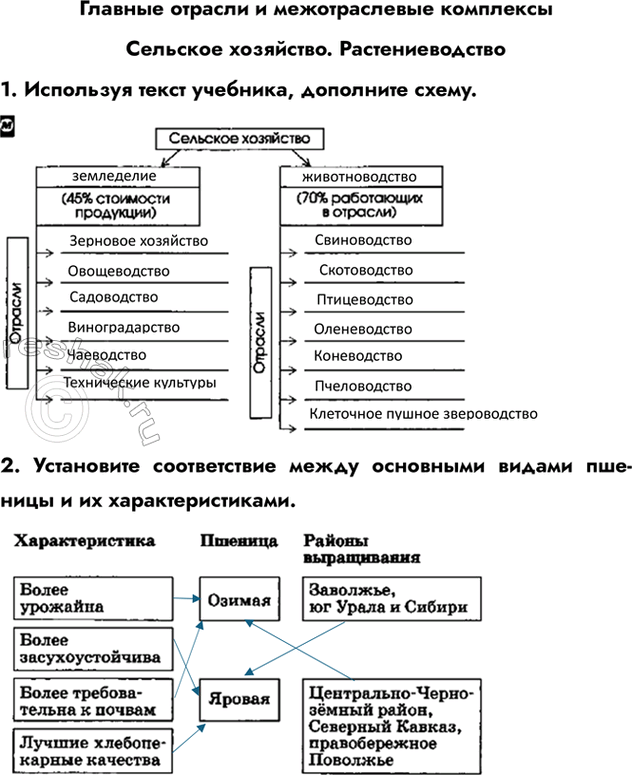 Изображение Главные отрасли и межотраслевые комплексыСельское хозяйство. Растениеводство1. Используя текст учебника, дополните схему.2. Установите соответствие между основными...